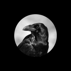 欧美交换配乱淫粗大
