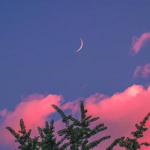 欧美交换配乱淫粗大
